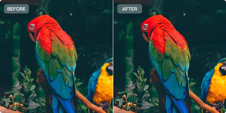 Color Correction